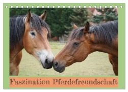 Cover-Bild zum Titel 'Faszination Pferdefreundschaft (Tischkalender 2027 DIN A5 quer), CALVENDO Monatskalender' von 'Babett Paul - Babetts Bildergalerie'