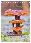 Cover-Bild zum Titel 'Pilze in Hochform (Tischkalender 2026 DIN A5 hoch), CALVENDO Monatskalender' von 'Clemens Stenner'