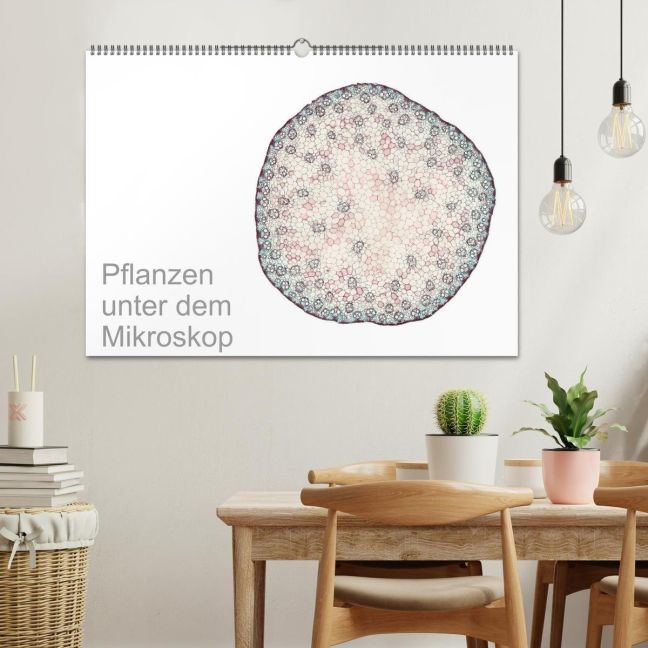 InsideView 1