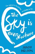 Cover-Bild zum Titel 'The Sky is Everywhere' von 'Jandy Nelson'