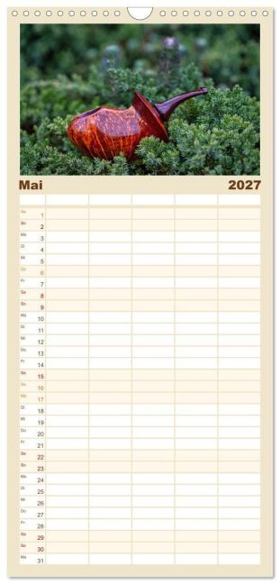 InsideView 10