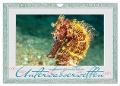 Faszination Unterwasserwelten (Wandkalender 2024 DIN A4 quer), CALVENDO Monatskalender - Dieter Gödecke