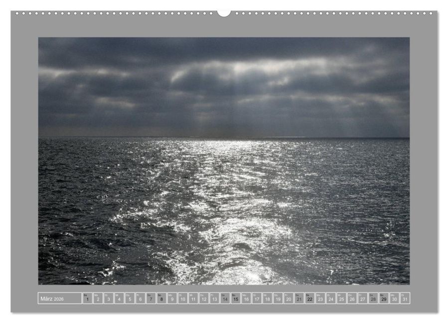 InsideView 8