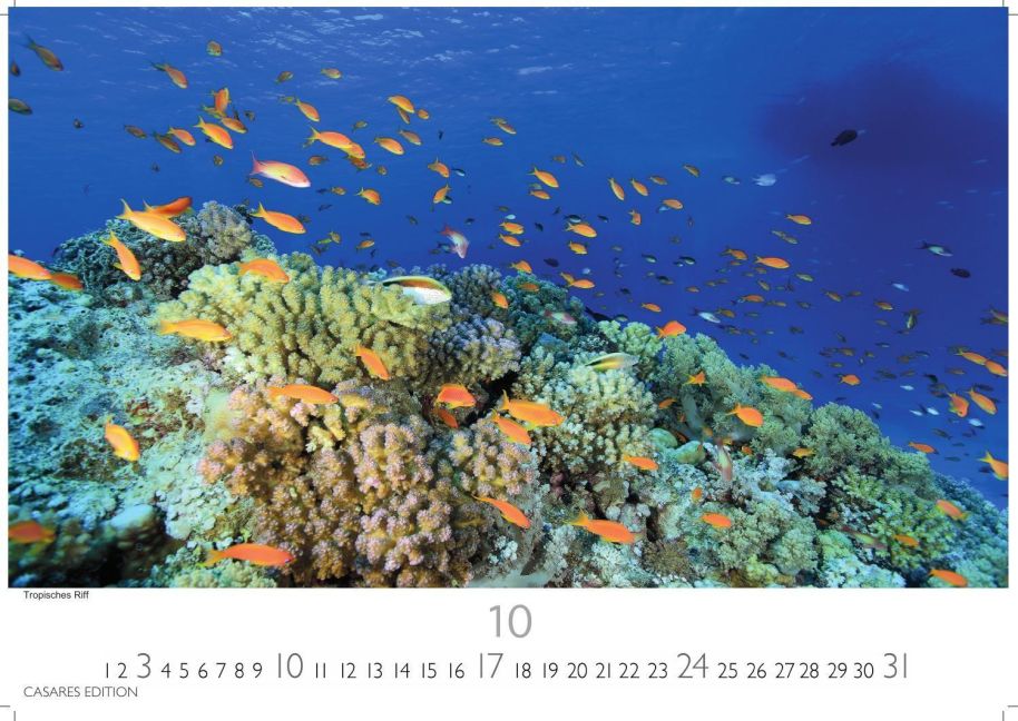 InsideView 10