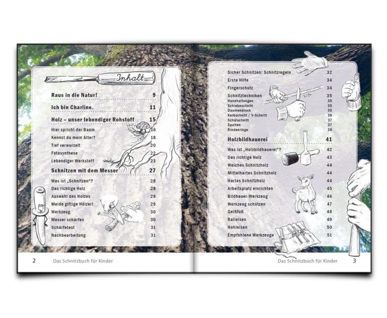 InsideView 1