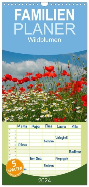 Familienplaner 2027 - Wildblumen 2027 mit 5 Spalten (Wandkalender, 21 x 45 cm) CALVENDO - Bildagentur Geduldig