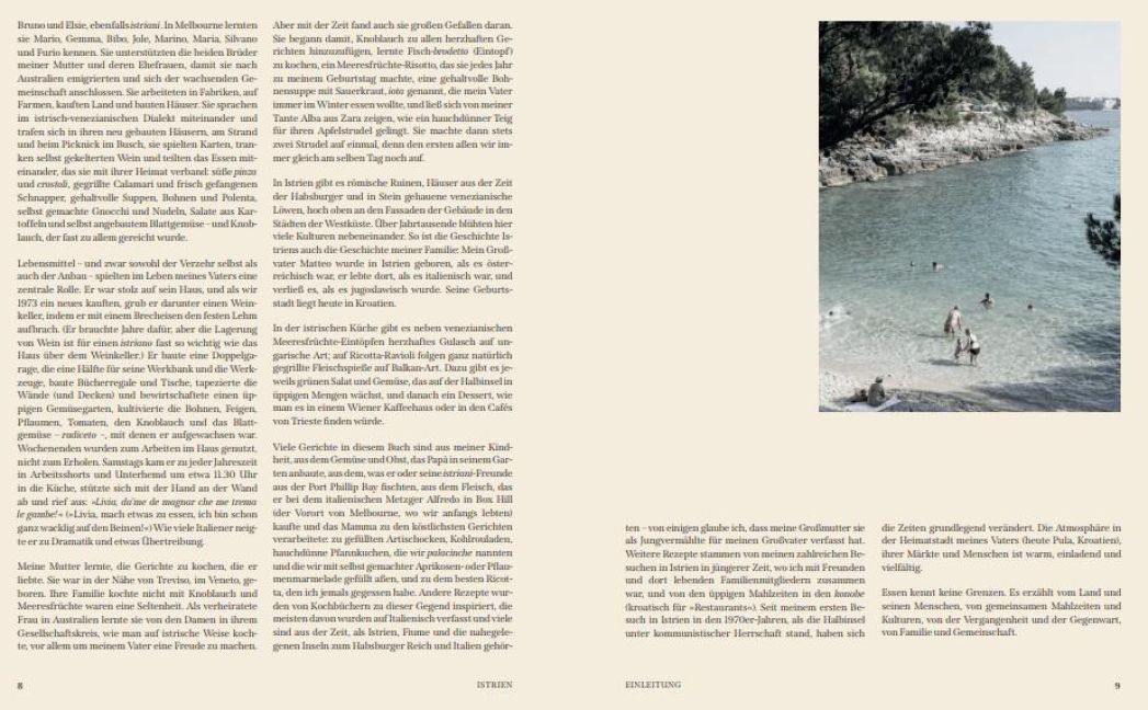 InsideView 5