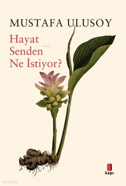 Hayat Senden Ne Istiyor - Mustafa Ulusoy