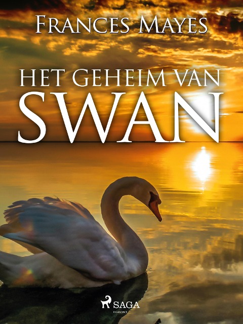 Het geheim van Swan - Frances Mayes