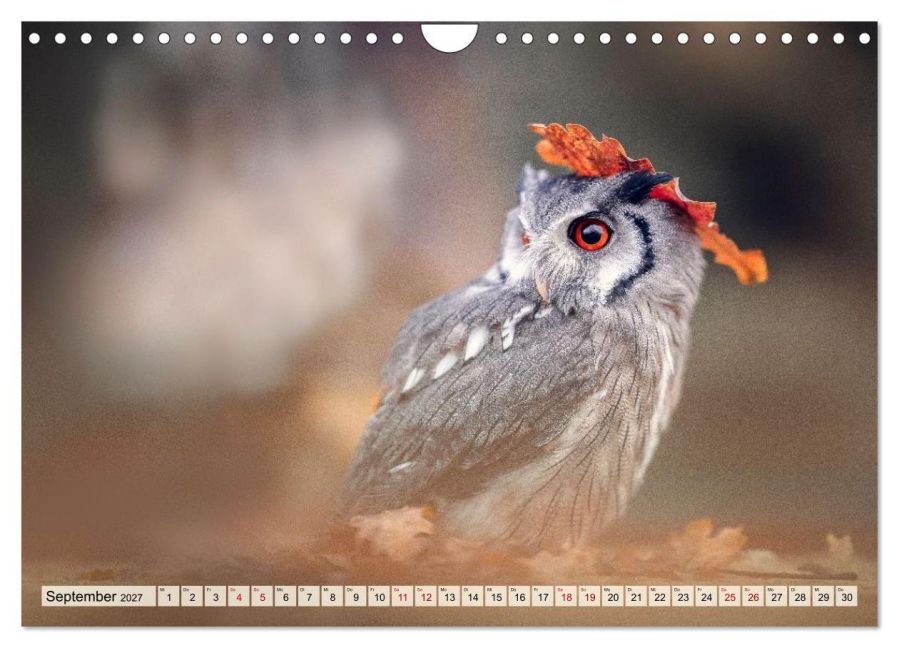 InsideView 14