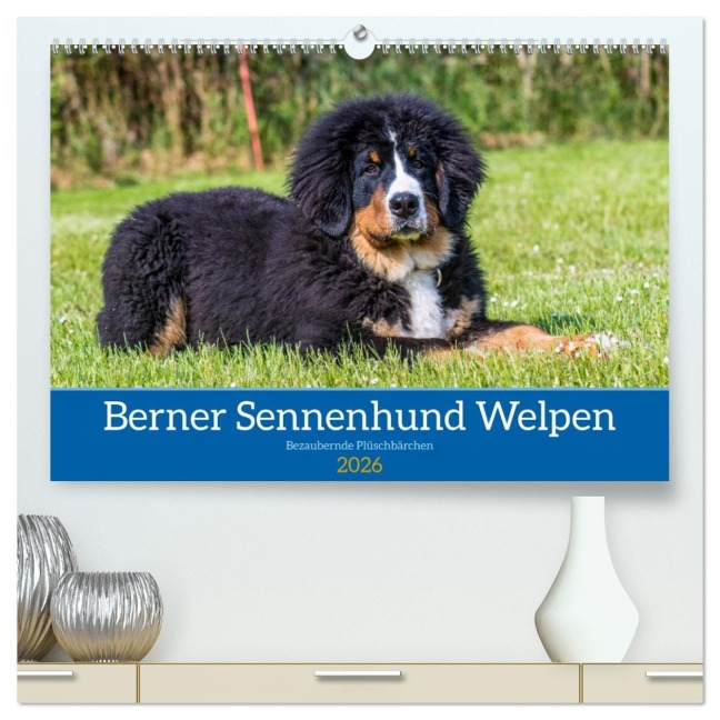 Berner Sennenhund Welpen - Bezaubernde Plüschbärchen (hochwertiger Premium Wandkalender 2026 DIN A2 quer), Kunstdruck in Hochglanz - Jana K. Fotografie