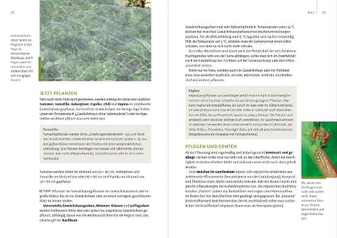 InsideView 5