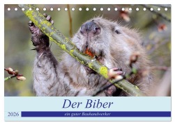 Cover-Bild zum Titel 'Der Biber, ein guter Bauhandwerker (Tischkalender 2026 DIN A5 quer), CALVENDO Monatskalender' von 'Rufotos Rufotos'