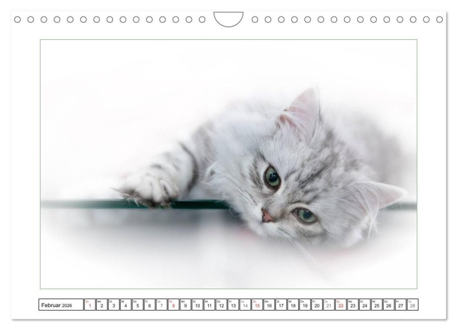 InsideView 7