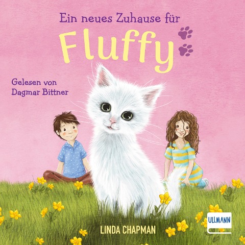 Ein neues Zuhause für Fluffy - Linda Chapman