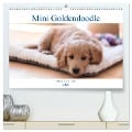 Mini Goldendoodle - Glück ist ein Hund (hochwertiger Premium Wandkalender 2025 DIN A2 quer), Kunstdruck in Hochglanz - Stephan Schulz