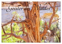Cover-Bild zum Titel 'Geisterbäume (Wandkalender 2026 DIN A2 quer), CALVENDO Monatskalender' von 'Andreas Struve'