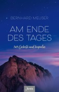 Cover-Bild zum Titel 'Am Ende des Tages' von 'Bernhard Meuser'