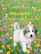 Cover-Bild zum Titel 'Bootsmann' von 'Gabriele Meerts'