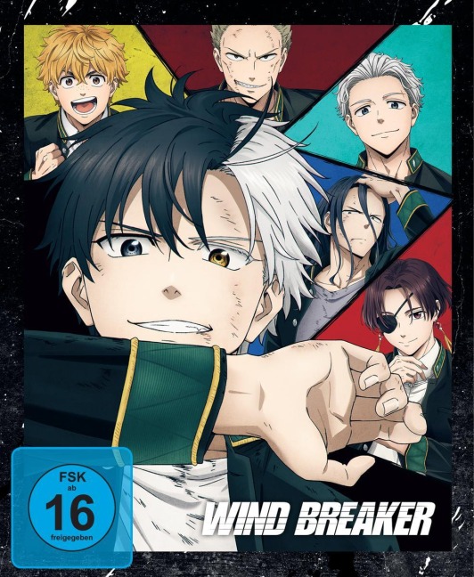Wind Breaker - Staffel 1 - Vol.1 - [DVD] mit Sammelschuber - 
