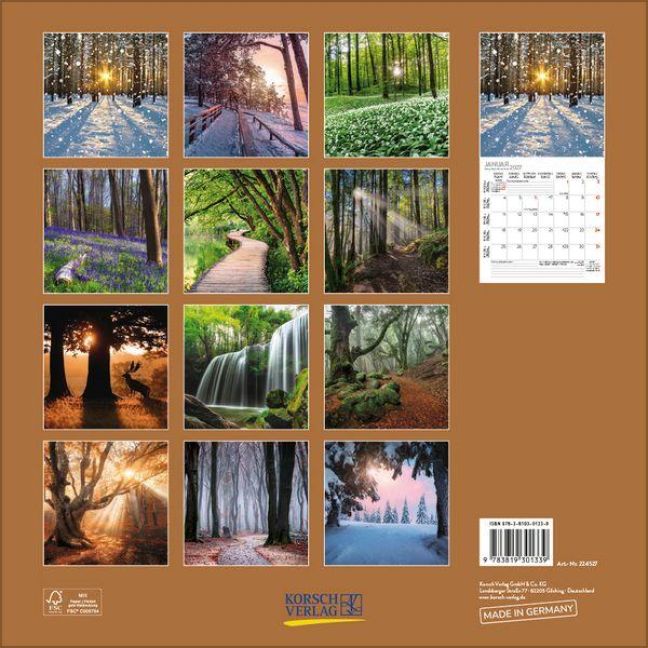 InsideView 13