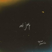 Cover-Bild zum Titel 'Hope We Have Fun' von 'Mt. Joy'