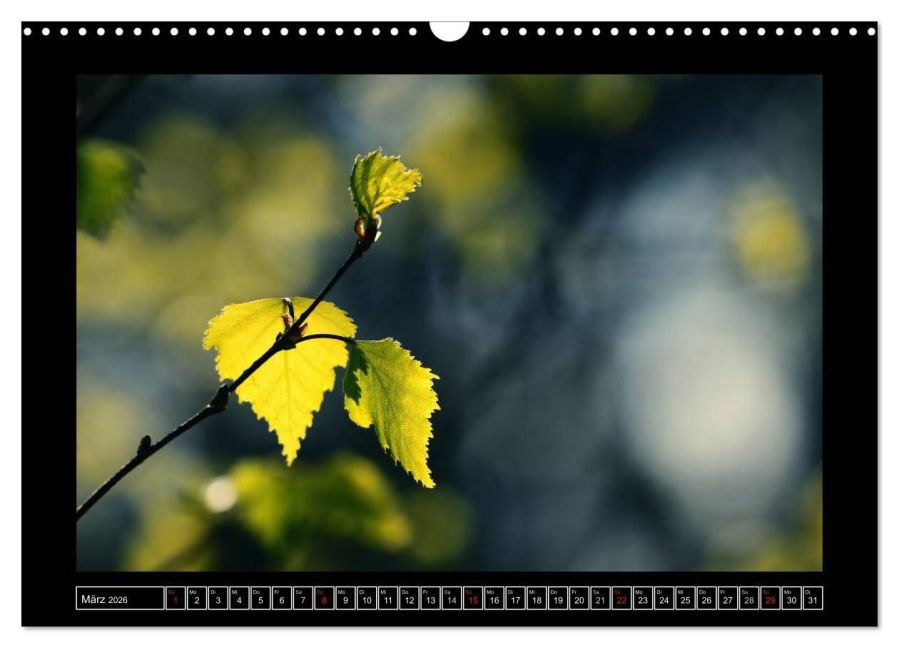 InsideView 8