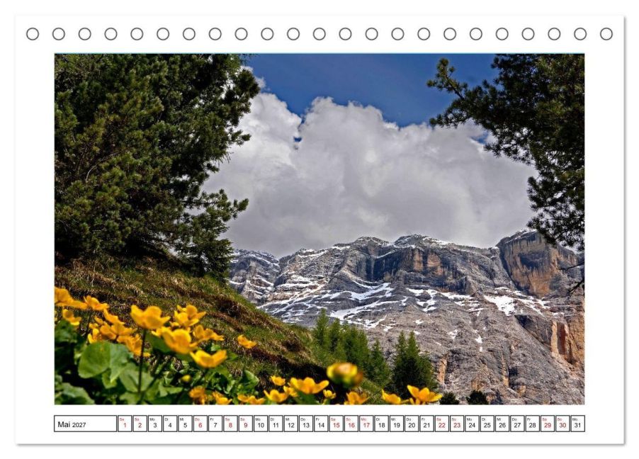 InsideView 10