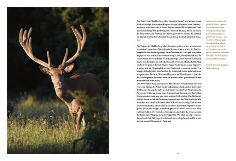 InsideView 10