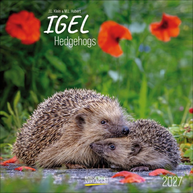 Igel 2027 - 