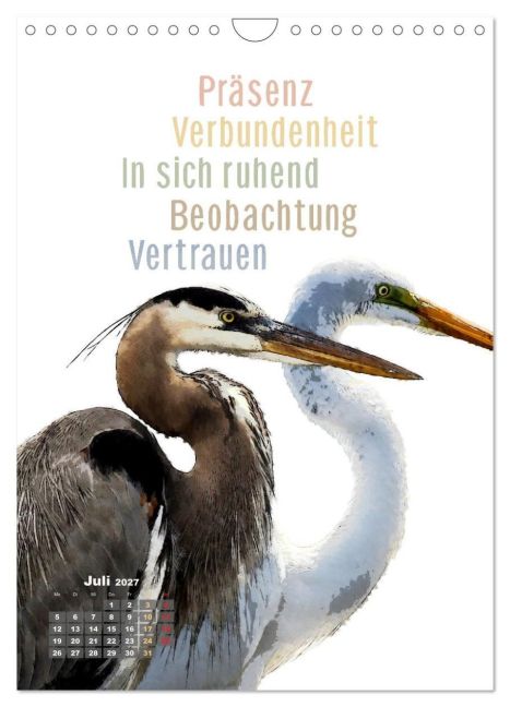 InsideView 12