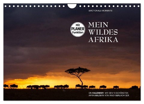 Emotionale Momente: Mein wildes Afrika (Wandkalender 2025 DIN A4 quer), CALVENDO Monatskalender - Ingo Gerlach GDT