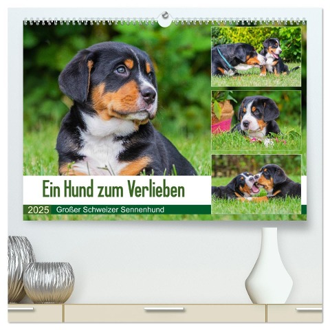 Ein Hund zum Verlieben - Großer Schweizer Sennenhund (hochwertiger Premium Wandkalender 2025 DIN A2 quer), Kunstdruck in Hochglanz - 