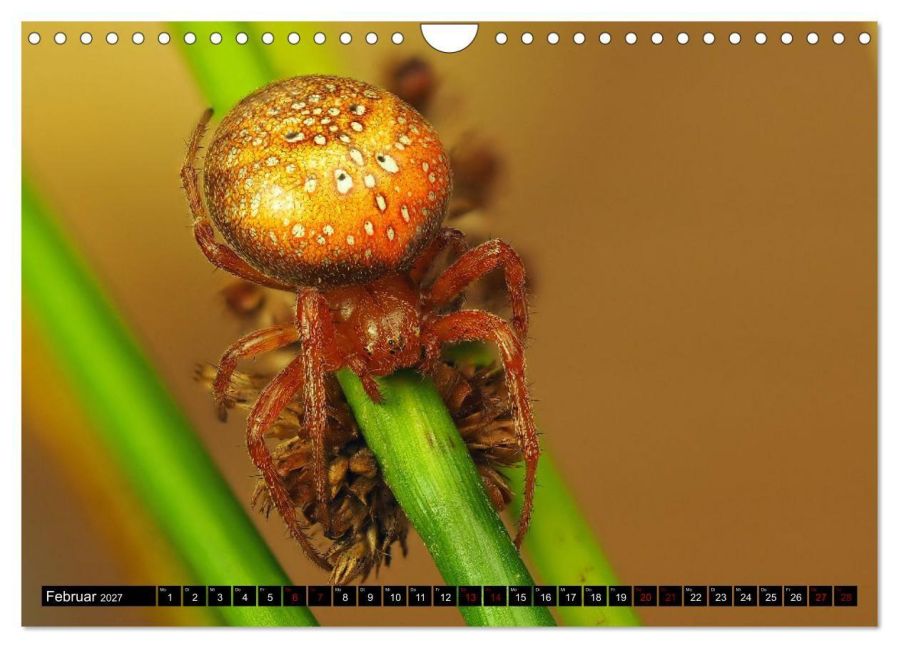 InsideView 7