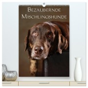 Cover-Bild zum Titel 'Bezaubernde Mischlingshunde (hochwertiger Premium Wandkalender 2026 DIN A2 hoch), Kunstdruck in Hochglanz' von 'Jana Behr'
