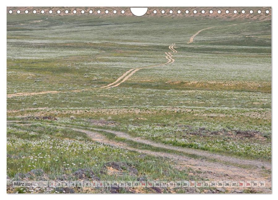 InsideView 8