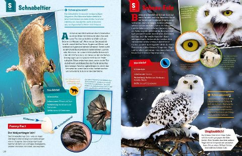 InsideView 13