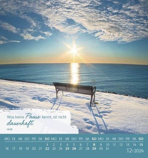 InsideView 12