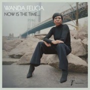 Cover-Bild zum Titel 'Now is the Time' von 'Wanda & Cold Diamond & Mink Felicia'