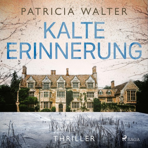 Kalte Erinnerung - Patricia Walter