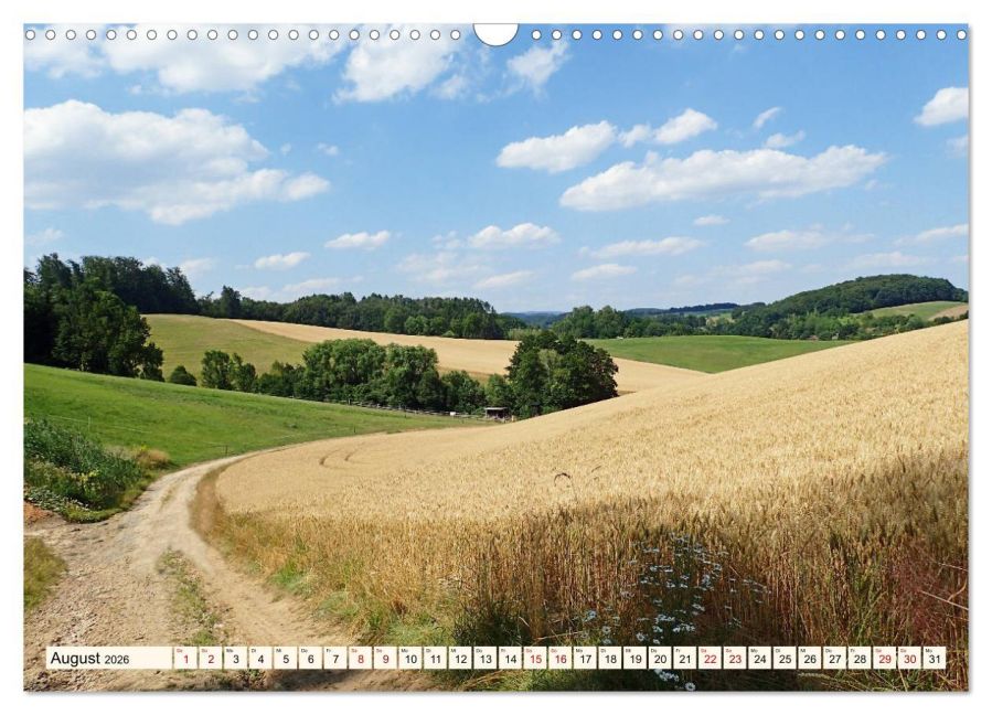 InsideView 13