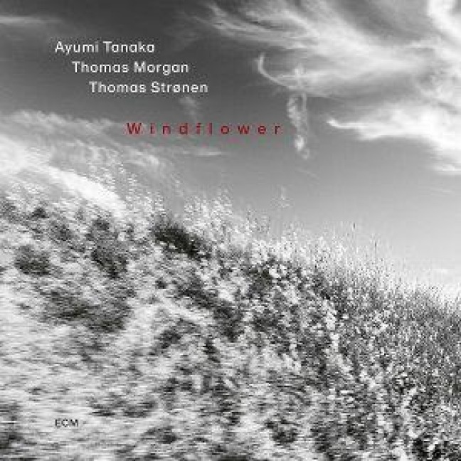 Windflower - Ayumi Tanaka, Thomas Morgan, Thomas Strønen