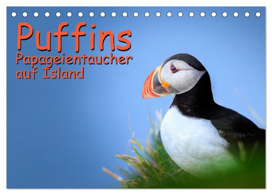 Puffins - Papageientaucher auf Island (Tischkalender 2026 DIN A5 quer), CALVENDO Monatskalender - Gerd-Uwe Neukamp