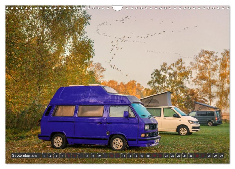 InsideView 14