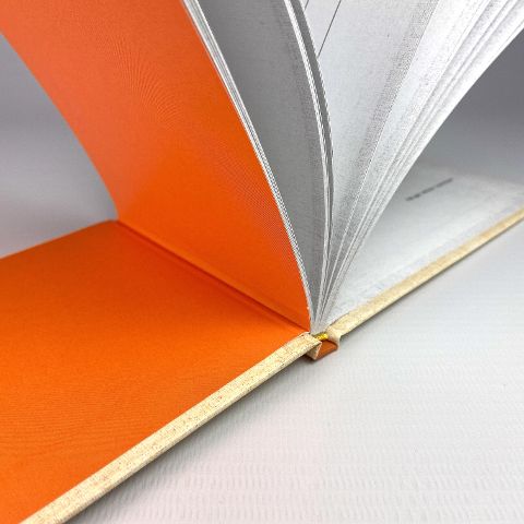 InsideView 4