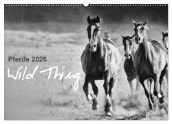 Cover-Bild zum Titel 'Pferde 2026 Wild Thing (Wandkalender 2026 DIN A2 quer), CALVENDO Monatskalender' von 'Sabine Peters'