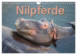 Cover-Bild zum Titel 'Nilpferde, Kolosse im Wasser (Wandkalender 2026 DIN A4 quer), CALVENDO Monatskalender' von 'Robert und Andrea Styppa'