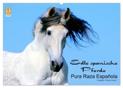 Cover-Bild zum Titel 'Edle spanische Pferde - Pura Raza Espanola (Wandkalender 2026 DIN A2 quer), CALVENDO Monatskalender' von 'Ramona Dünisch Www. Ramona-Duenisch. De'
