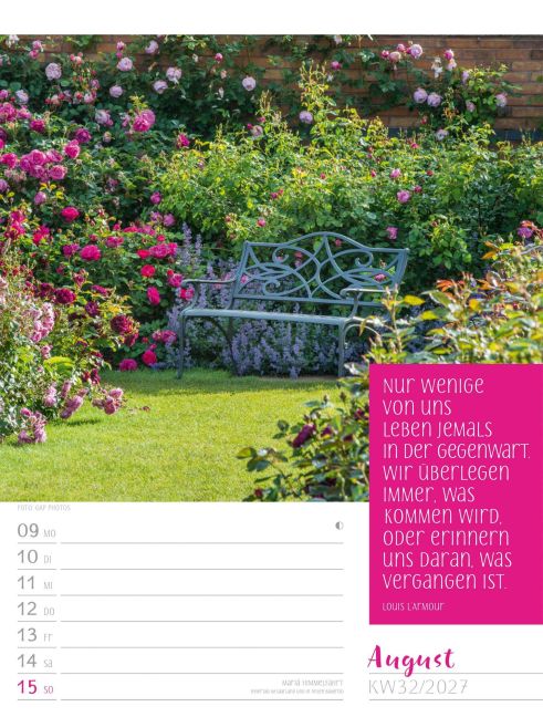 InsideView 36