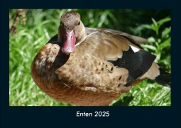 Cover-Bild zum Titel 'Enten 2025 Fotokalender DIN A4' von 'Tobias Becker'